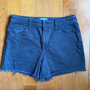 Universal Thread Shorts